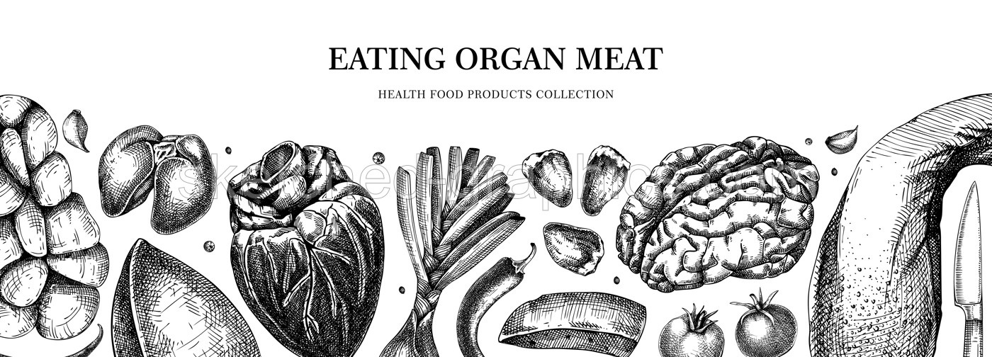 Organ meat banner. Liver, heart, kindle, tongue, offal design. Internal organs, ingredients, meat product, healthy food sketch. Engraved vector food illustration isolated on white background Illustration